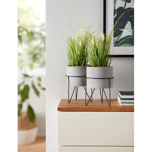 4019844713546 - Kunstpflanze IGEA Kunstpflanzen Gr B H 15 cm x 32 cm 2 St grün Kunstgras Kunstgräser Kunstpflanzen