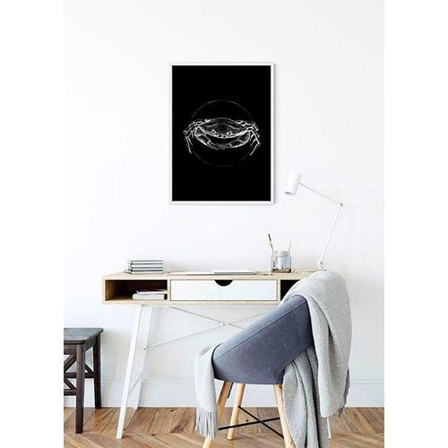 4055065152474 - Bild KOMAR Crab Black bunt (farbe bild(er) bunt) B40cm H50cm Papier Holz Bilder Wandbild zur Dekoration - ohne Rahmen