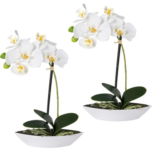 4064118078012 - Kunstorchidee CREATIV GREEN Phalaenopsis Kunstpflanzen Gr B H L 65 cm x 30 cm x 195 cm 2 St weiß Kunstorchidee Kunst-Orchideen Kunstpflanzen 2er Set in Kunststoffschale 4064118078012 - Kunstorchidee CREATIV GREEN Phalaenopsis Kunstpflanzen Gr B H L 65 cm x 30 cm x 195 cm 2 St weiß Kunstorchidee Kunst-Orchideen Kunstpflanzen 2er Set in Kunststoffschale