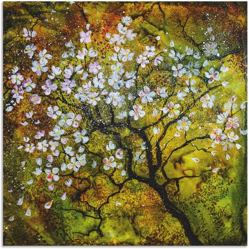 4062144625422 - Wandbild ARTLAND Kirschblüte Bilder Gr B H 100 cm x 100 cm Alu-Dibond-Druck Baumbilder quadratisch 1 St grün Kunstdrucke als Alubild Leinwandbild Wandaufkleber oder Poster in versch Größen