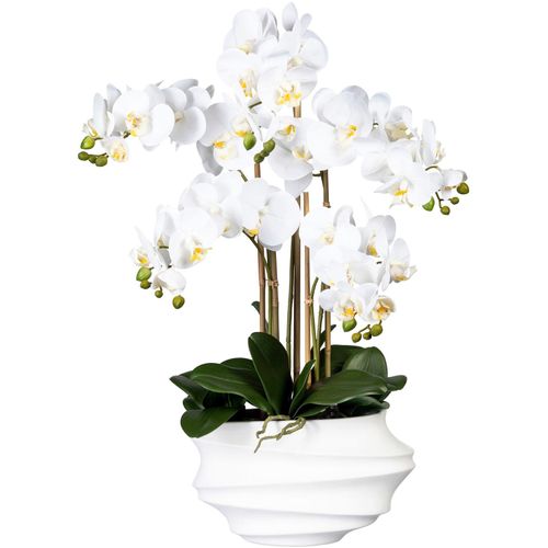 4064118072157 - Kunstorchidee CREATIV GREEN Phalaenopsis Kunstpflanzen Gr H 75 cm 1 St weiß Kunst-Orchideen Kunstpflanzen in Design-Kunststoffvase
