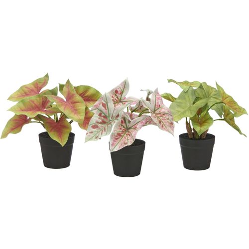 4064118351788 - Künstliche Zimmerpflanze CREATIV GREEN Blattpflanzen Mini grün H20cm Ø18cm Kunststoff Kunstpflanzen mit schönen Blattfarben 4064118351788 - Künstliche Zimmerpflanze CREATIV GREEN Blattpflanzen Mini grün H20cm Ø18cm Kunststoff Kunstpflanzen mit schönen Blattfarben