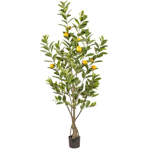 4064118353836 - Kunstbaum CREATIV GREEN Zitrone grün H180cm Kunststoff Kunstpflanzen mit detailgetreuer Gestaltung 4064118353836 - Kunstbaum CREATIV GREEN Zitrone grün H180cm Kunststoff Kunstpflanzen mit detailgetreuer Gestaltung