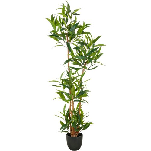 4064118352594 - Kunstbaum CREATIV GREEN Ficus maclellandii grün H150cm Kunststoff Kunstpflanzen mit echtem Holzstamm 4064118352594 - Kunstbaum CREATIV GREEN Ficus maclellandii grün H150cm Kunststoff Kunstpflanzen mit echtem Holzstamm