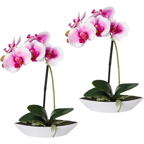4064118078128 - Kunstorchidee CREATIV GREEN Phalaenopsis Kunstpflanzen Gr B H L 65 cm x 30 cm x 195 cm 2 St lila (weiß lila) Kunstorchidee Kunst-Orchideen Kunstpflanzen 2er Set in Kunststoffschale