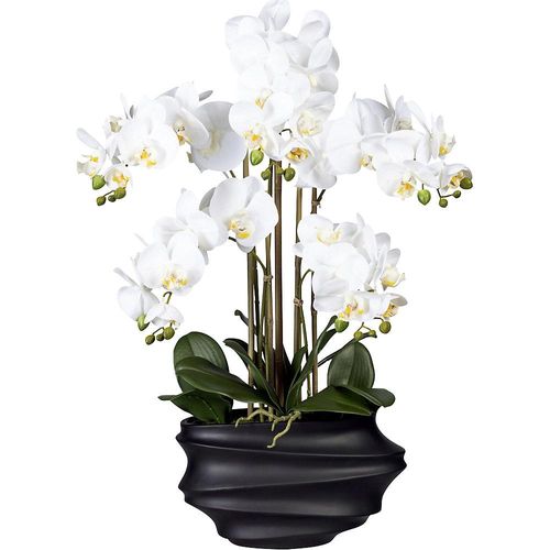 4003529918661 - Phalaenopsis real touch Höhe 750 mm weiß Kunststoffvase schwarz kaiserkraft