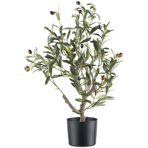 4064118353881 - Kunstpflanze CREATIV GREEN Olive grün H70cm Kunststoff Kunstpflanzen mit detailgetreuer Gestaltung