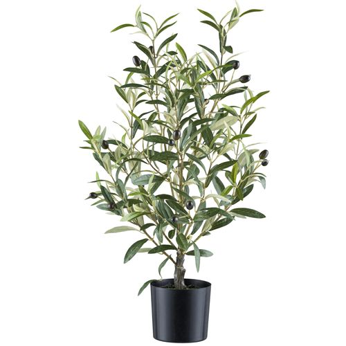 4064118240976 - Kunstpflanze CREATIV GREEN Olive grün H70cm Kunststoff Kunstpflanzen mit detailgetreuer Gestaltung