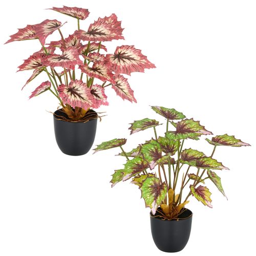 4064118352075 - Kunstpflanze CREATIV GREEN Begonia rex bunt H30cm Kunststoff Kunstpflanzen mit außergewöhnlicher Blattzeichnung