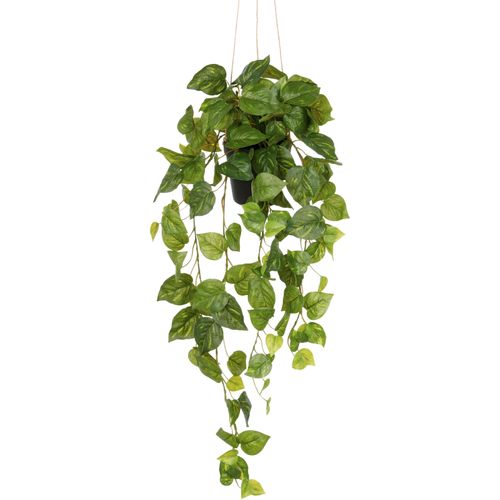 4064118352969 - Kunstpflanze CREATIV GREEN Hängender Philodendron hederaceum grün H75cm Kunststoff Kunstpflanzen mit üppigen Ranken