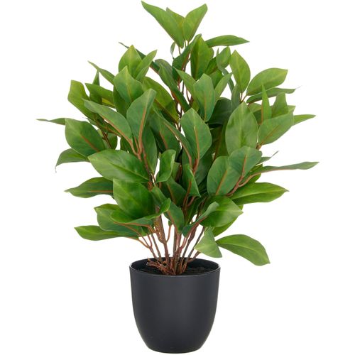 4064118352631 - Kunstpflanze CREATIV GREEN Epipremnum grün H40cm Kunststoff Kunstpflanzen mit schönem Blattwerk