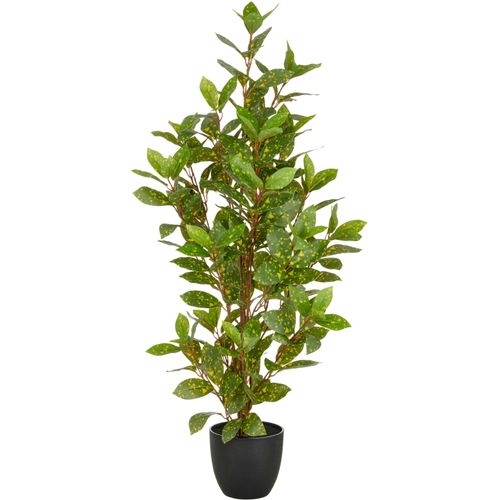 4064118352655 - Kunstpflanze CREATIV GREEN Acuba grün H90cm Kunststoff Kunstpflanzen mit schönem Blattwerk