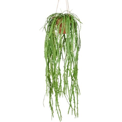 4064118352815 - Kunstpflanze CREATIV GREEN Hängende Rhipsalis crispata grün H80cm Kunststoff Kunstpflanzen mit zahlreichen Ranken 4064118352815 - Kunstpflanze CREATIV GREEN Hängende Rhipsalis crispata grün H80cm Kunststoff Kunstpflanzen mit zahlreichen Ranken