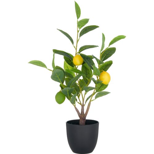 4064118353904 - Kunstbaum CREATIV GREEN Zitrone grün H48cm Kunststoff Kunstpflanzen mit detailgetreuer Gestaltung