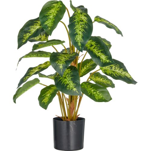 4064118352846 - Kunstpflanze CREATIV GREEN Dieffenbachia reeva grün H65cm Kunststoff Kunstpflanzen mit schönem Blattwerk 4064118352846 - Kunstpflanze CREATIV GREEN Dieffenbachia reeva grün H65cm Kunststoff Kunstpflanzen mit schönem Blattwerk