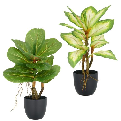 4064118352082 - Kunstpflanze CREATIV GREEN Ficus und Dieffenbachia grün H34cm Kunststoff Kunstpflanzen mit Luftwurzeln