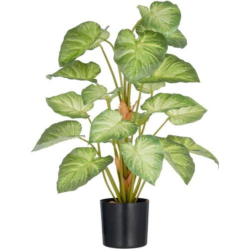 4064118352853 - Kunstpflanze CREATIV GREEN Syngonium grün H65cm Kunststoff Kunstpflanzen mit schönem Blattwerk 4064118352853 - Kunstpflanze CREATIV GREEN Syngonium grün H65cm Kunststoff Kunstpflanzen mit schönem Blattwerk