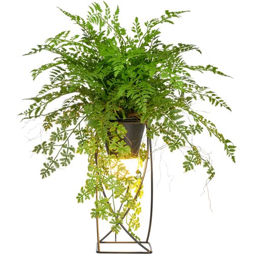 4064118352952 - Kunstpflanze CREATIV GREEN Farn als Dekostandleuchte grün H60cm Kunststoff Kunstpflanzen mit LED-Beleuchtung 4064118352952 - Kunstpflanze CREATIV GREEN Farn als Dekostandleuchte grün H60cm Kunststoff Kunstpflanzen mit LED-Beleuchtung