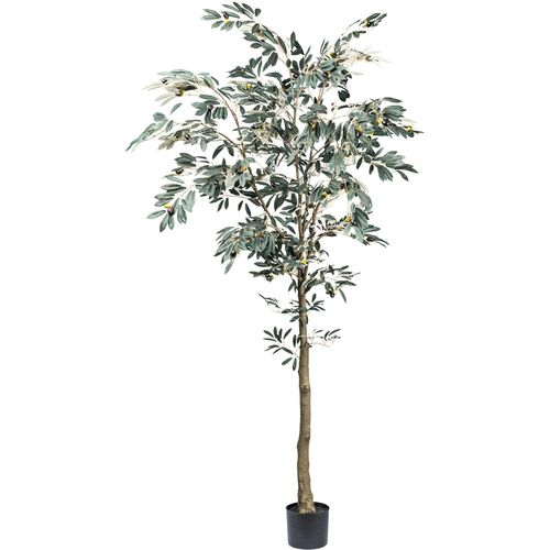 4064118181842 - Kunstbaum CREATIV GREEN Olive grün H210cm Kunststoff Kunstpflanzen mit detailgetreuer Gestaltung