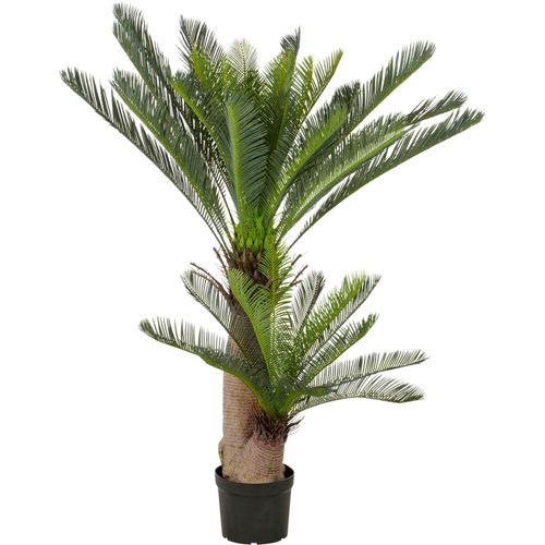 4064118352457 - Kunstpalme CREATIV GREEN Cycaspalme grün H145cm Kunststoff Kunstpflanzen mit detailgetreuer Gestaltung 4064118352457 - Kunstpalme CREATIV GREEN Cycaspalme grün H145cm Kunststoff Kunstpflanzen mit detailgetreuer Gestaltung