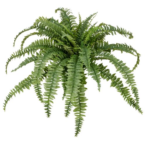 4064118352921 - Kunstpflanze CREATIV GREEN Bostonfarn ohne Topf grün H80cm Ø100cm Kunststoff Kunstpflanzen mit zahlreichen Farnwedeln