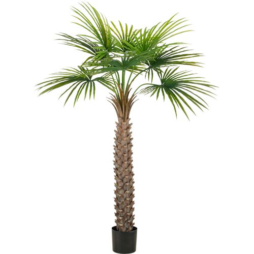 4064118352358 - Kunstpalme CREATIV GREEN Fächerpalme grün H175cm Kunststoff Kunstpflanzen mit naturgetreuen Palmwedeln