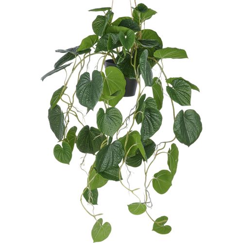 4064118352501 - Kunstpflanze CREATIV GREEN Hängende Peperomia caperata grün H70cm Kunststoff Kunstpflanzen mit üppigen Ranken