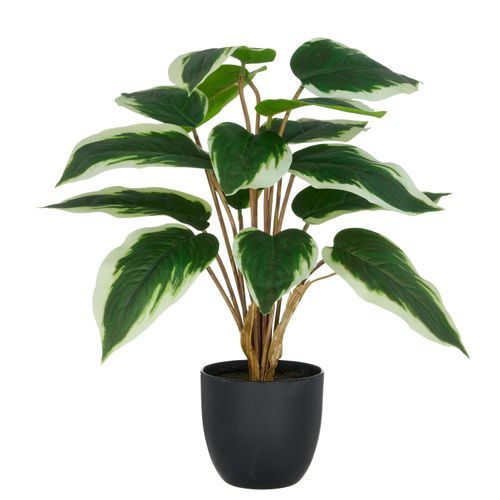 4064118352334 - Kunstpflanze CREATIV GREEN Hosta grün (grün weiß) H45cm Kunststoff Kunstpflanzen mit naturgetreuem Blattwerk 4064118352334 - Kunstpflanze CREATIV GREEN Hosta grün (grün weiß) H45cm Kunststoff Kunstpflanzen mit naturgetreuem Blattwerk