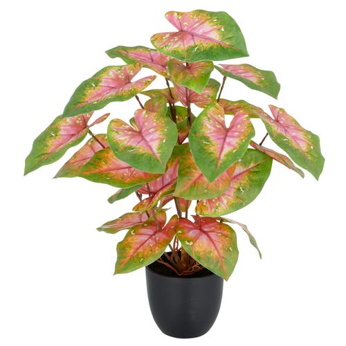 4064118352518 - Kunstpflanze CREATIV GREEN Caladium grün (grün rosa) H40cm Kunststoff Kunstpflanzen mit außergewöhnlicher Blattzeichnung