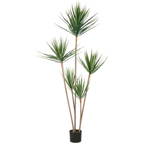 4064118352471 - Kunstpflanze CREATIV GREEN Dracaena draco grün H165cm Kunststoff Kunstpflanzen mit 5 Stämmen