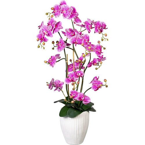 4064118078739 - Orchidee Phalaenopsis real touch in Keramikvase Höhe ca 1100 mm lilapink kaiserkraft 4064118078739 - Orchidee Phalaenopsis real touch in Keramikvase Höhe ca 1100 mm lilapink kaiserkraft