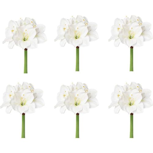 4064118192077 - Amaryllis weiß VE 6 Stk Gesamthöhe 560 mm kaiserkraft