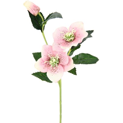 4019844791483 - Kunstblume IGEA Christrose rosa (rosa vatertag valentinstag ostern muttertag geburtstag) B12cm H57cm L5cm Obermaterial 90% Polyester 10% Kunststoff Kunstpflanzen Künstlich Seidenblumen 5er Set