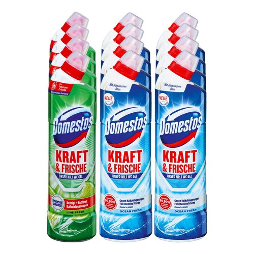 8720182432483 - WC-Reiniger 750 ml verschiedene Sorten 12er Pack