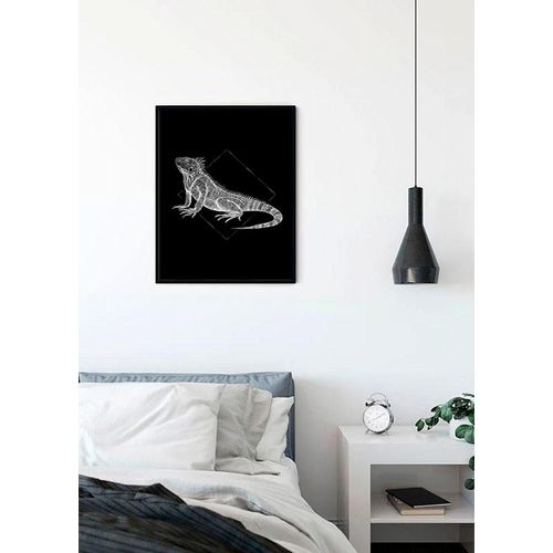 4055065152108 - Bild KOMAR Iguana Black bunt (farbe bild(er) bunt) B50cm H70cm Papier Holz Bilder Wandbild zur Dekoration - ohne Rahmen 4055065152108 - Bild KOMAR Iguana Black bunt (farbe bild(er) bunt) B50cm H70cm Papier Holz Bilder Wandbild zur Dekoration - ohne Rahmen
