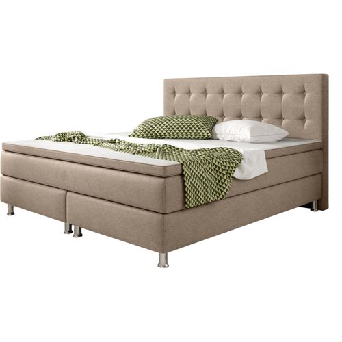 4260465766668 - Inter Handels Boxspringbett Köln 180 x 200 cm vers Farben- muddy