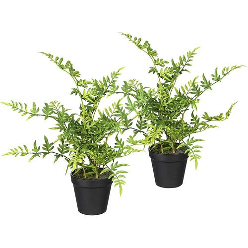 4064118838890 - Japanischer Farn im Kunststofftopf 2er-Set Höhe 400 mm kaiserkraft 4064118838890 - Japanischer Farn im Kunststofftopf 2er-Set Höhe 400 mm kaiserkraft