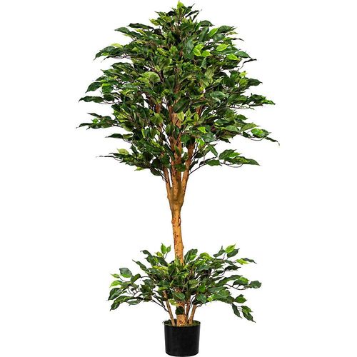 4064118075837 - Ficus benjamina UV-beständig Höhe ca 1500 mm Naturstamm kaiserkraft 4064118075837 - Ficus benjamina UV-beständig Höhe ca 1500 mm Naturstamm kaiserkraft