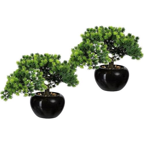 4064118879701 - Bonsai Lärche Behältnis-Ø 150 mm VE 2 Stk Höhe 260 mm kaiserkraft