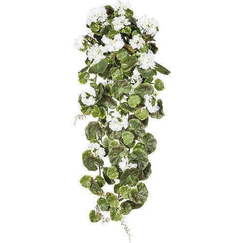 4003529258545 - Geranienhänger Höhe 800 mm UV-beständig Blüten weiß kaiserkraft