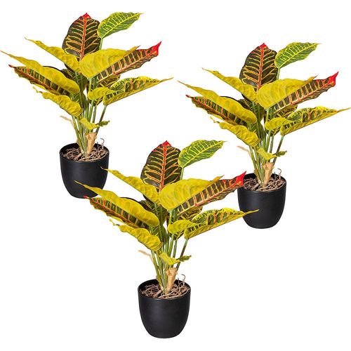 4064118889311 - Croton grüngelb VE 3 Stk Höhe 350 mm im Kunststofftopf kaiserkraft 4064118889311 - Croton grüngelb VE 3 Stk Höhe 350 mm im Kunststofftopf kaiserkraft