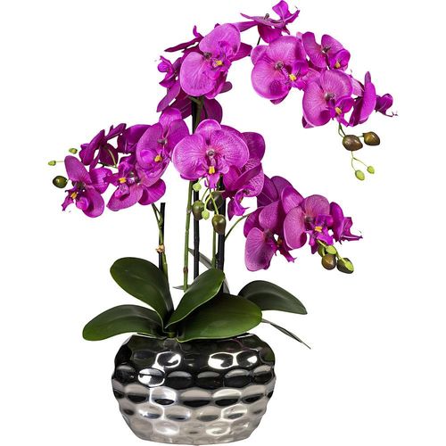 4003529767375 - Phalaenopsis in Ovalvase Höhe 550 mm Blüten violett kaiserkraft 4003529767375 - Phalaenopsis in Ovalvase Höhe 550 mm Blüten violett kaiserkraft