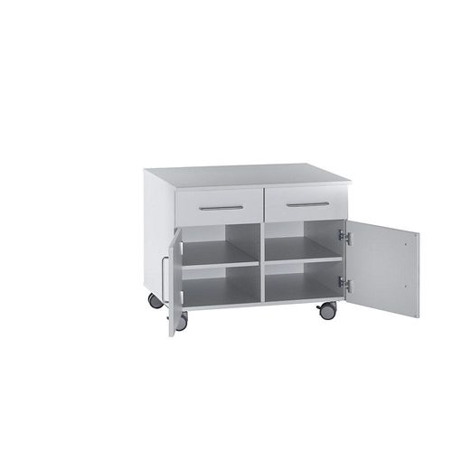 4061753095626 - Labor-Unterschrank niedrig 2 Schubladen 2 Türen 2 Böden 1 Mittelwand Breite 1136 mm kaiserkraft 4061753095626 - Labor-Unterschrank niedrig 2 Schubladen 2 Türen 2 Böden 1 Mittelwand Breite 1136 mm kaiserkraft