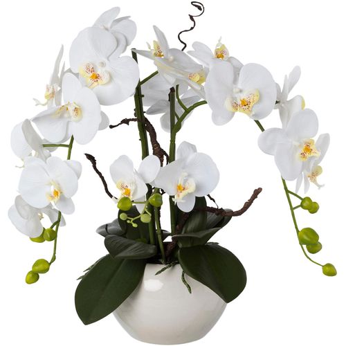 4064118077718 - Kunstorchidee CREATIV GREEN Phalaenopsis Kunstpflanzen Gr H 55 cm 1 St weiß Kunstorchidee Kunst-Orchideen Kunstpflanzen im Keramiktopf