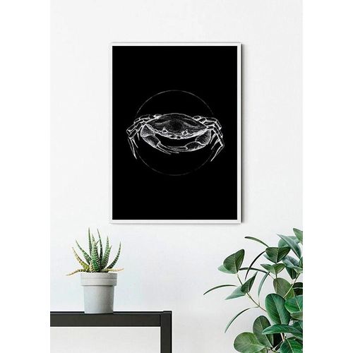 4055065152467 - Bild KOMAR Crab Black bunt (farbe bild(er) bunt) B50cm H70cm Papier Holz Bilder Wandbild zur Dekoration - ohne Rahmen