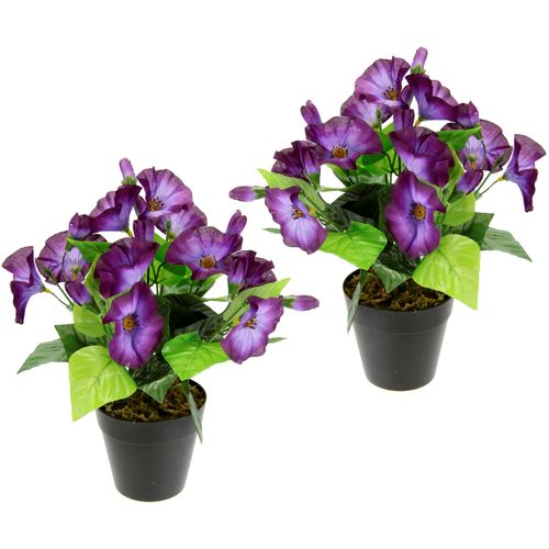 4019844795481 - Kunstblume IGEA Petunien lila (violett) B22cm H27cm L22cm Obermaterial 80% Polyester 20% Kunststoff Kunstpflanzen Im Topf 2er Set Petunien Zierpflanze Glockenblume klein Blumen Deko 4019844795481 - Kunstblume IGEA Petunien lila (violett) B22cm H27cm L22cm Obermaterial 80% Polyester 20% Kunststoff Kunstpflanzen Im Topf 2er Set Petunien Zierpflanze Glockenblume klein Blumen Deko