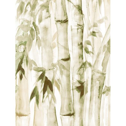 4055065200434 - Bild KOMAR Wild Bamboo grün (farbe bild(er) grün weiß) B30cm H40cm Papier Holz Bilder Wandbild zur Dekoration - ohne Rahmen