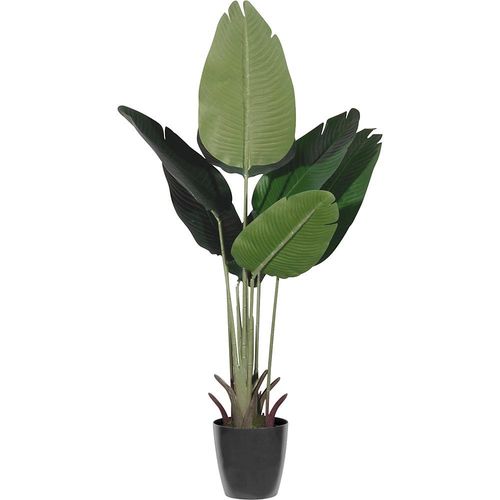 4061753296863 - Bananenbaum Behältnis-Ø 150 mm Höhe 1150 mm kaiserkraft 4061753296863 - Bananenbaum Behältnis-Ø 150 mm Höhe 1150 mm kaiserkraft
