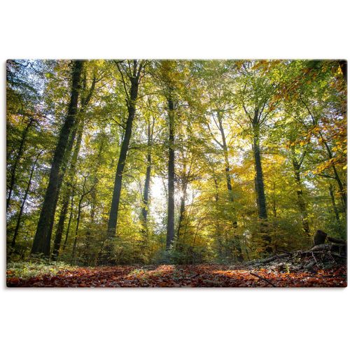 4062144621820 - Wandbild ARTLAND Laubwald zum Herbst Bilder Gr B H 120 cm x 80 cm Leinwandbild Waldbilder Querformat 1 St grün Kunstdrucke als Alubild Leinwandbild Wandaufkleber oder Poster in versch Größen 4062144621820 - Wandbild ARTLAND Laubwald zum Herbst Bilder Gr B H 120 cm x 80 cm Leinwandbild Waldbilder Querformat 1 St grün Kunstdrucke als Alubild Leinwandbild Wandaufkleber oder Poster in versch Größen