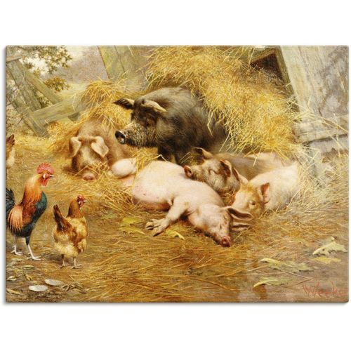 4055327112369 - Wandbild ARTLAND Glückliches Tierleben Bilder Gr B H 120 cm x 90 cm Leinwandbild Haustiere 1 St bunt Kunstdrucke als Leinwandbild Wandaufkleber oder Poster in versch Größen 4055327112369 - Wandbild ARTLAND Glückliches Tierleben Bilder Gr B H 120 cm x 90 cm Leinwandbild Haustiere 1 St bunt Kunstdrucke als Leinwandbild Wandaufkleber oder Poster in versch Größen
